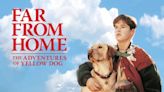 Far from Home: The Adventures of Yellow Dog: Where to Watch & Stream Online