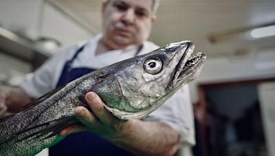 ¿Se salvará de la extinción la merluza del Atlántico en España?