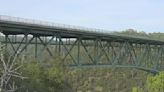 Four hikers, dog rescued from cliffside near California's tallest bridge