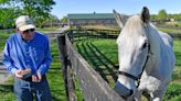 For ex-Derby winner Silver Charm, it's a life of leisure and Old Friends at Kentucky retirement farm