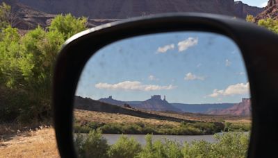 Invasive species discovered in Colorado River is capable of wiping out ecosystems, causing costly damage