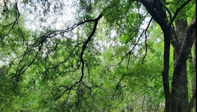 In Hays County, damage from last week's storm tops $1 million