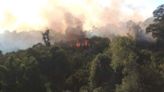 Incêndio no Castelo queimou 20% do parque; não há previsão de reabertura | Notícias Sou BH