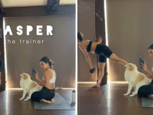 Malaika Arora Thinks Her Pet Dog Casper Was A Gym Trainer In Past Life - News18