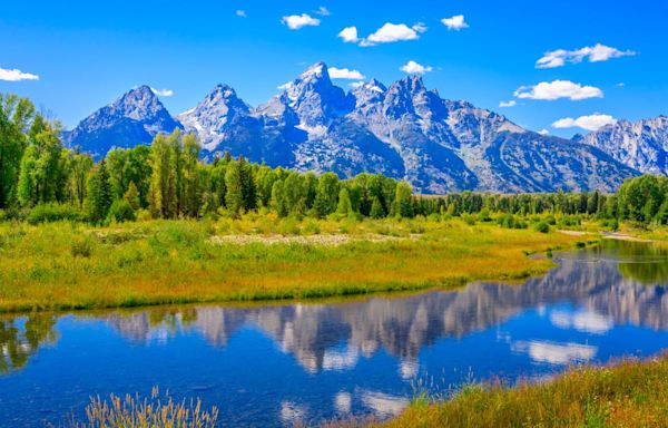 Grizzly bear attacks and seriously injures man in Wyoming’s Grand Teton National Park