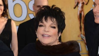 Liza Minnelli Looks Frail In Wheelchair In First Photos In Nearly A Year