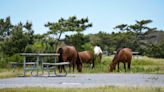 With federal government shutdown looming, what would happen to Maryland's park sites?