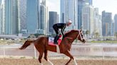 Kabirkhan, California Chrome's Top Earner, Now in U.S.