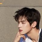 Cha Eun-woo