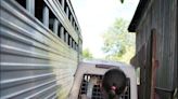 Humane society removes 26 farm animals from Jefferson Twp. home; Owner’s health at issue