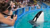 Miami Seaquarium gets eviction notice several months after death of Tokitae the orca