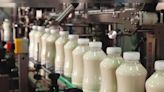 Dodla Dairy Q1 Results: Stock jumps 16% after profit nearly doubles, margin expands by 400 bps - CNBC TV18