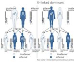 X-linked dominant inheritance