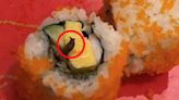 壽司鑽出活蛞蝓！醫警告吃進恐「腦膜炎」：爬過就可能感染