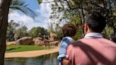 Cómo disfrutar al máximo de la zooinmersión en Bioparc