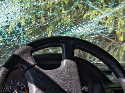 Bear Dragged Body Of Man Killed In Highway Crash Into The Woods | iHeart