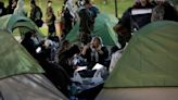 Encampment set up at Penn to protest Israel-Hamas war; interim president says it will protect safety of the campus and demonstrators