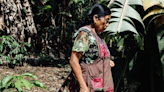 Caficultores rescatan prácticas agroforestales y apuestan por la variedad para luchar contra enfermedad que acaba con el café