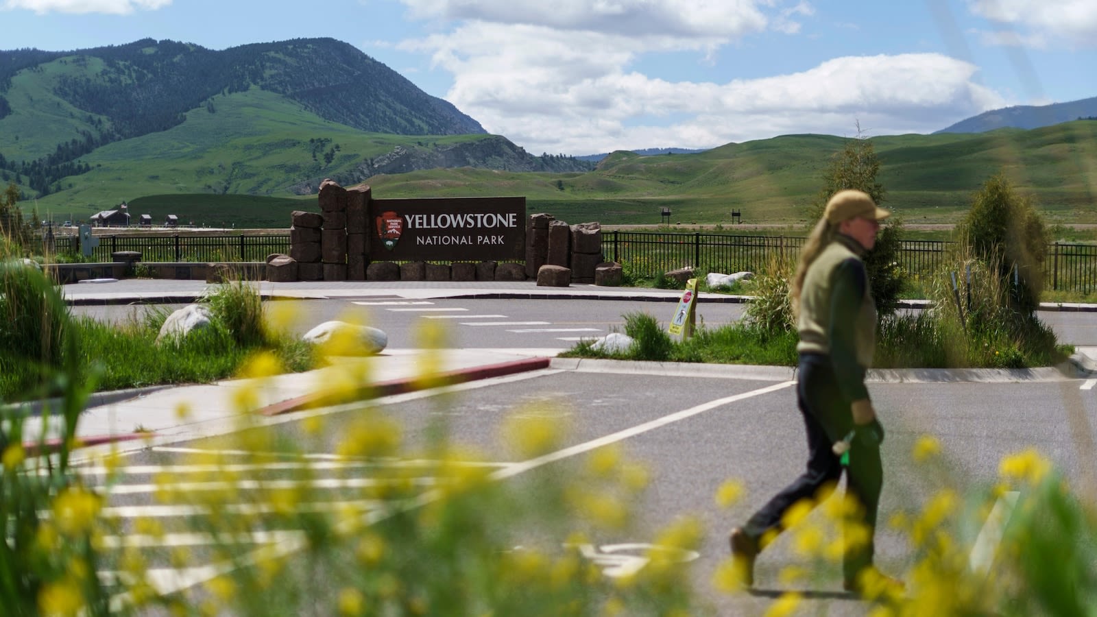 A Yellowstone trip that ended with a man being arrested for kicking a bison