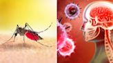 Dengue Can Cause Serious Neurological Complications; Know All About It