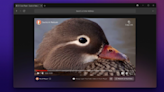 DuckDuckGo's Windows browser is now available in open beta