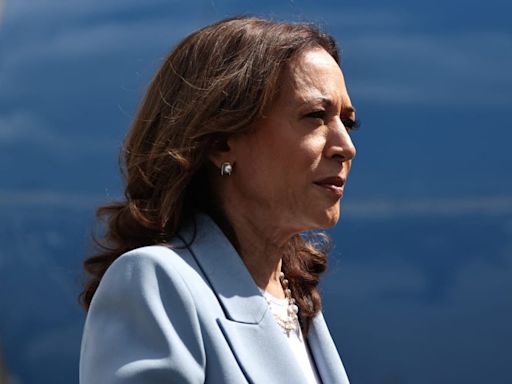 Wall Street Wolves and Silicon Valley Tech Bros for Kamala