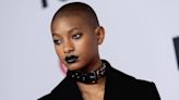 'Nepo Baby' Where? Here's Why Willow Smith Rejects That Title