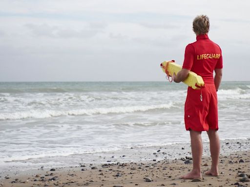 Boy, 14, training to be lifeguard accidentally jumped on shark - then found out