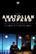 Anatolian Leopard (film)