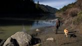 Grisly discovery in Humboldt County takes a turn: Suspected animal bones could be human