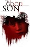 The Good Son (film)