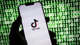 TikTok ban bill: How Ohio's 15 House members voted on fate of social media app