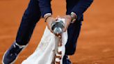 On a wing and a prayer, a pigeon is rescued by a French Open chair umpire during a match