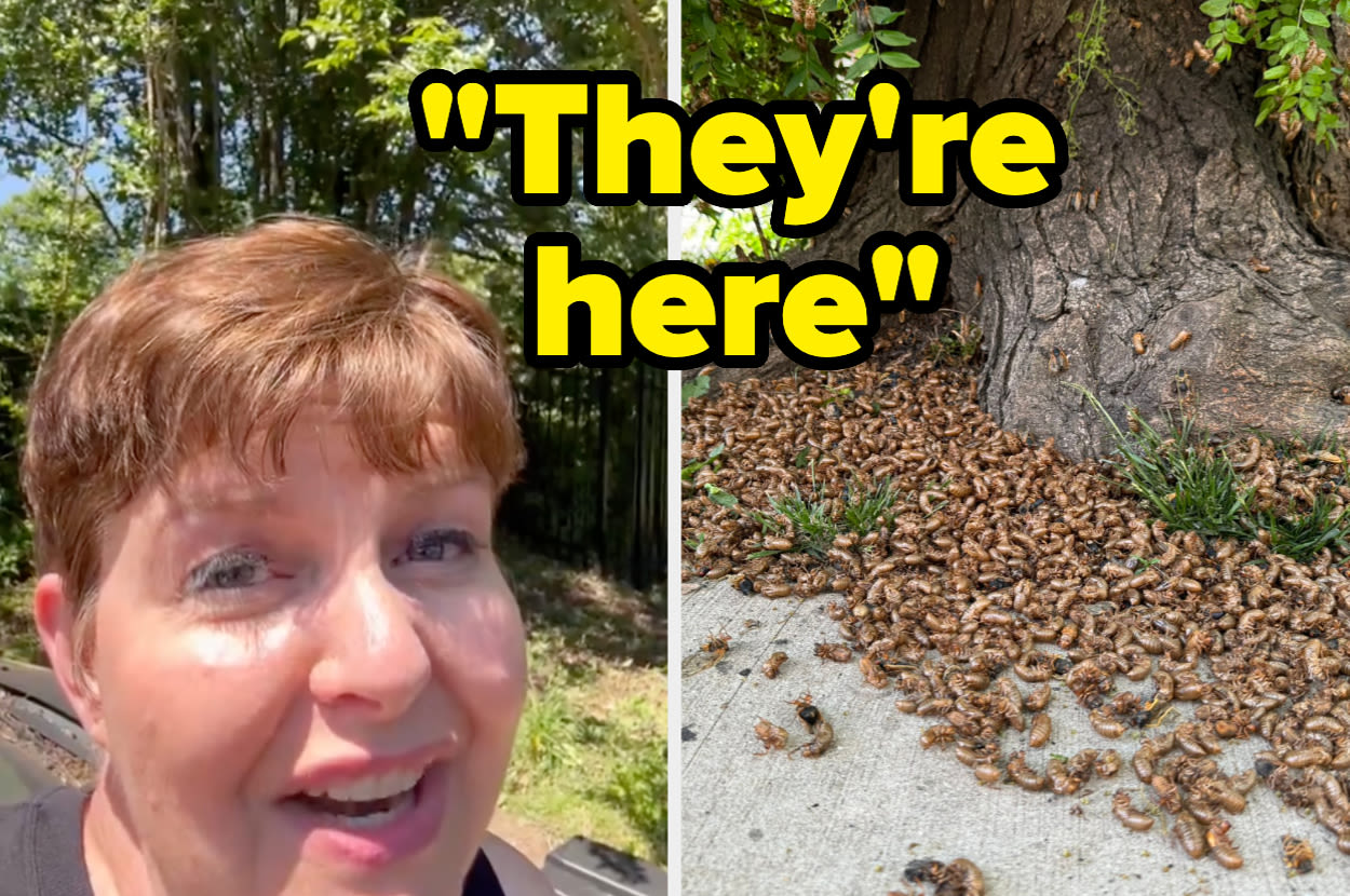 I Had NO IDEA This Is How Loud These Historic Cicada Swarms Are