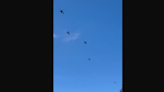 Video: Why did 5 big choppers hover over CLE Sunday?