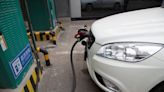 Govt mulls parking fee waivers for electric vehicles in cities to promote green transport, says housing minister