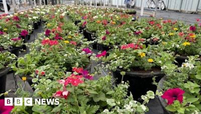 Shrewsbury to re-enter Britain in Bloom