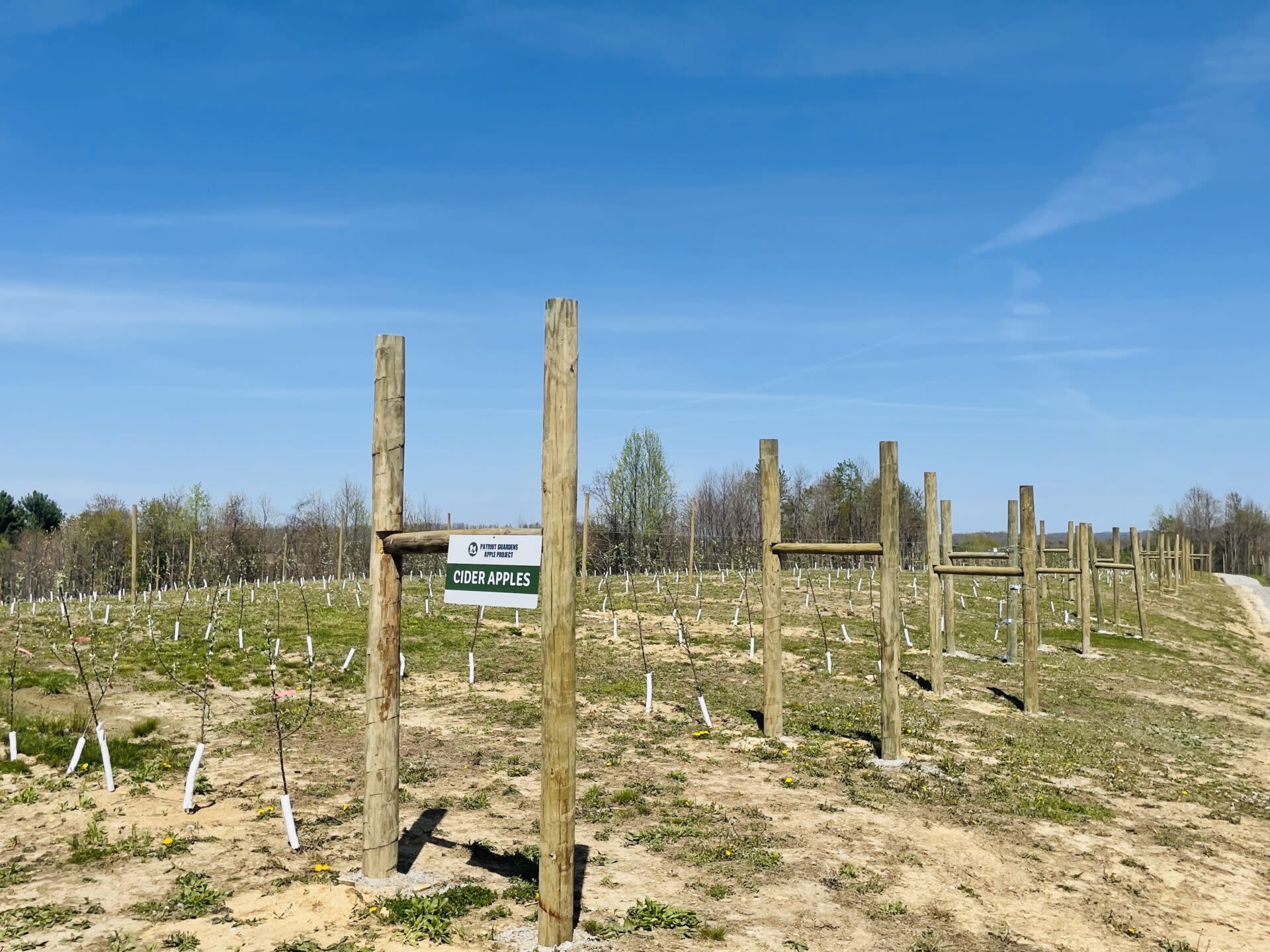 Abandoned Mine Turns Apple Orchard With Help Of National Guard - West Virginia Public Broadcasting