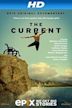 The Current: Explore the Healing Powers of the Ocean