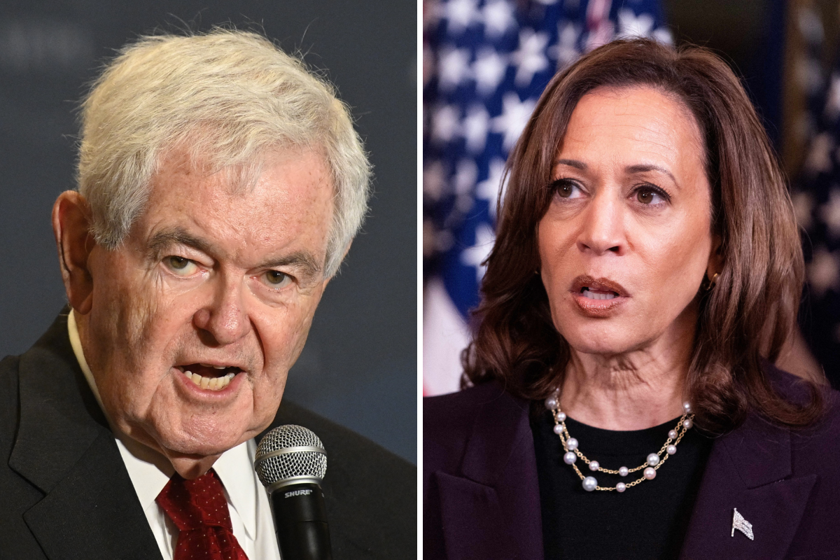 Kamala Harris may be "shockingly better" than expected, Newt Gingrich says