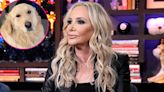 Why Is Animal Control Getting Involved in ‘RHOC’ Star Shannon Beador’s DUI and Hit-and-Run Drama?