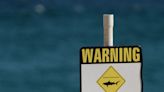 Teenage boy killed in shark attack at tourist beach in Australia
