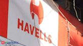 White goods to benefit from commodity price inflation, Havells a top pick: ICICI Securities - The Economic Times