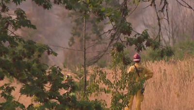 Homes evacuated as crews fight Lee Falls Fire