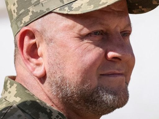 Presidential decree dismisses former Ukrainian Commander-in-Chief from military service