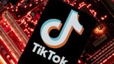 TikTok CEO Chew: Montana's ban on the app 'unconstitutional'