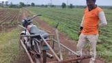 Belagavi Farmer's Technique To Pull Weeds From Field Is Innovation At It Best - News18