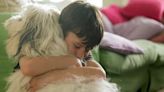 Research Shows Service Dogs May Improve Sleep for Autistic Children