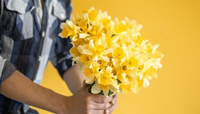 Cuál es el significado de regalar flores amarillas el 21 de septiembre 2024 | Por las redes