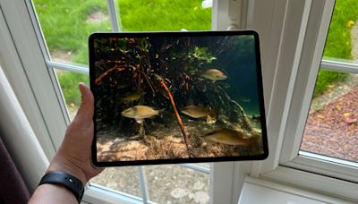 iPad Pro OLED: release date rumours, predicted price and specs